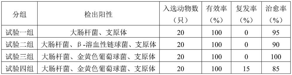 A kind of fluoroquinolone antibiotic capsule for pet and preparation method thereof