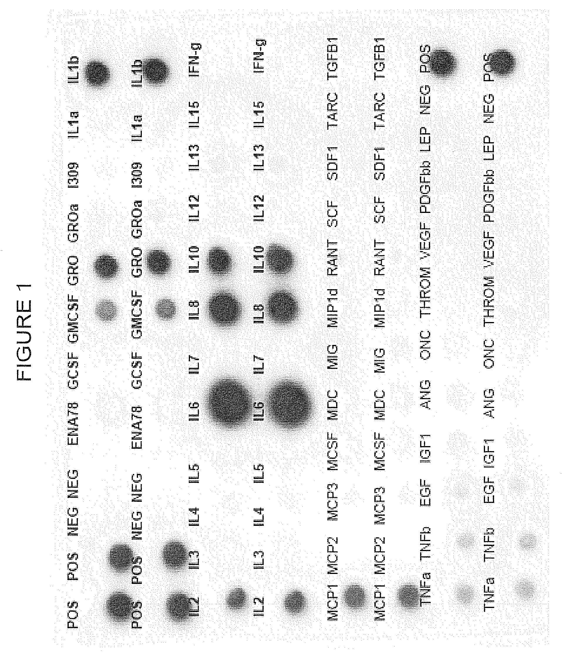 Irx-2 modified manufacturing process