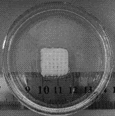 Preparation method of through-hole dual-network polymeric hydrogel scaffold