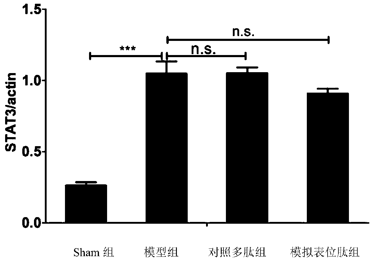 Mimic epitope peptide and application thereof