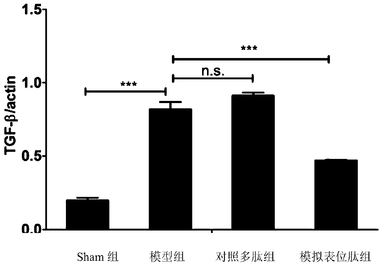 Mimic epitope peptide and application thereof