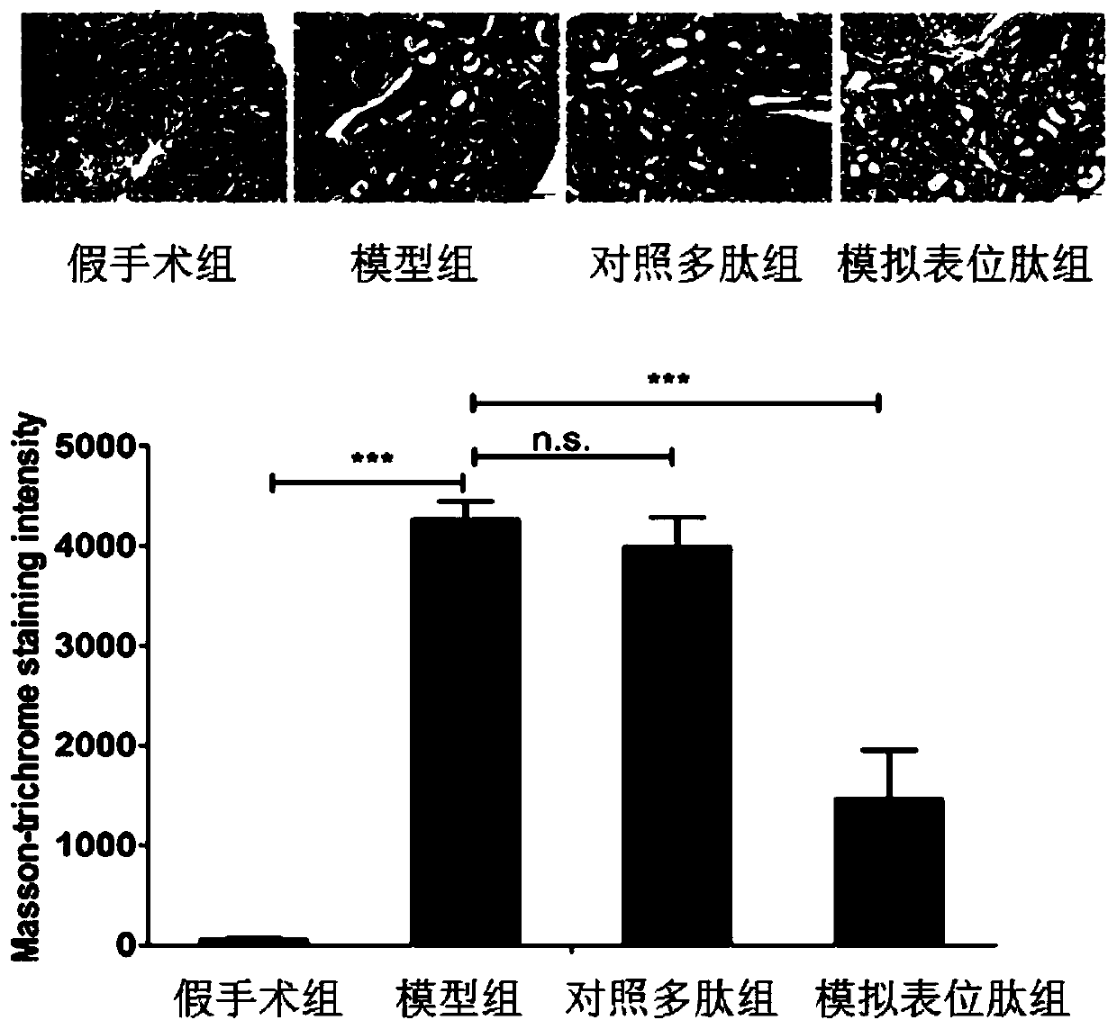 Mimic epitope peptide and application thereof