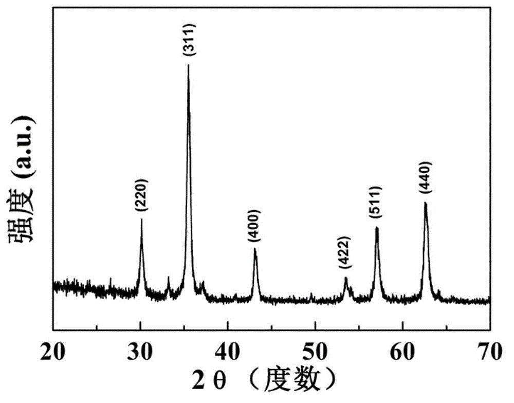 Preparation method of targeted MRI (magnetic resonance imaging) contrast medium based on folic acid modified iron oxide nanoparticles