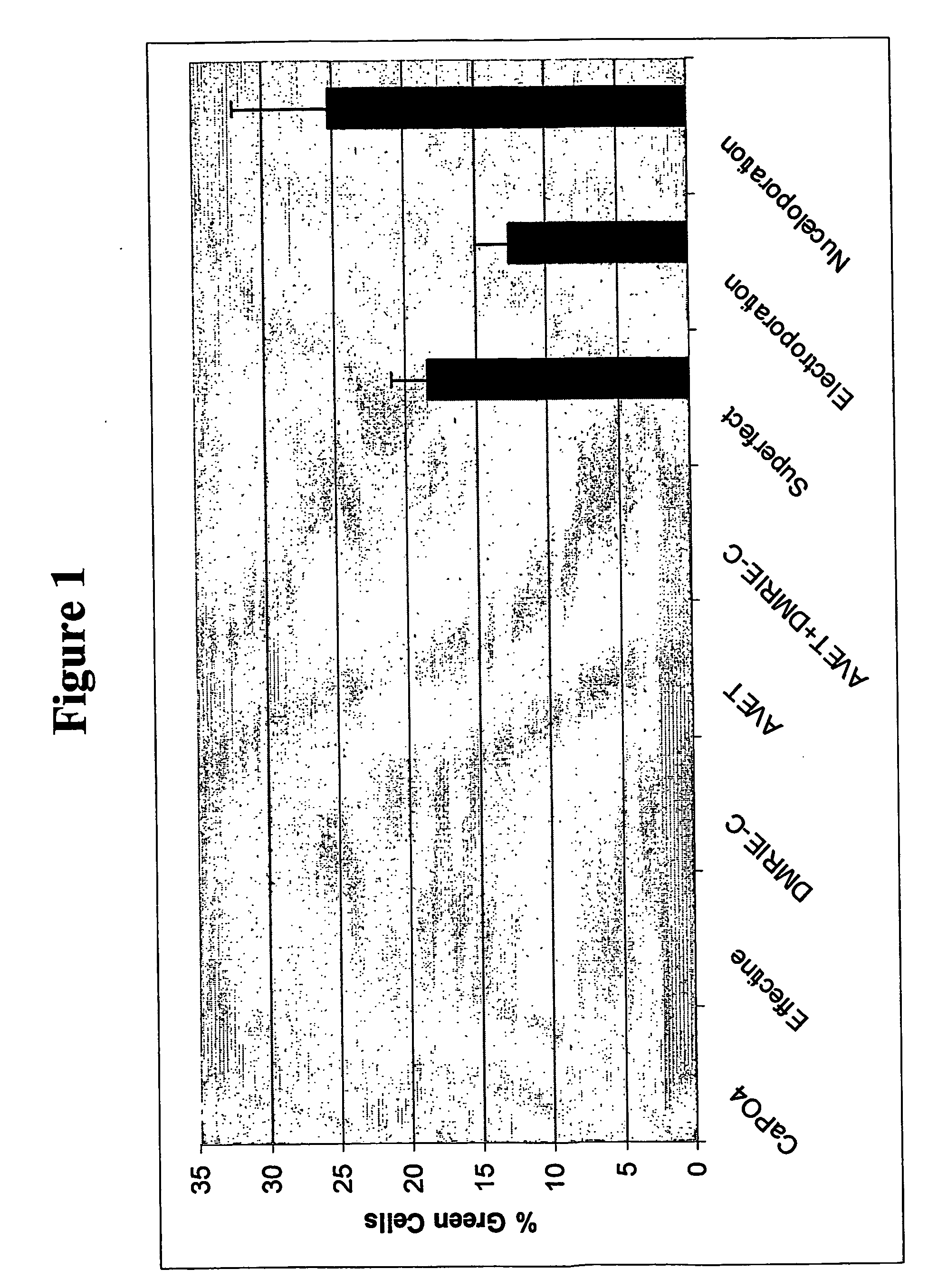 Homologous recombination in multipotent adult progenitor cells