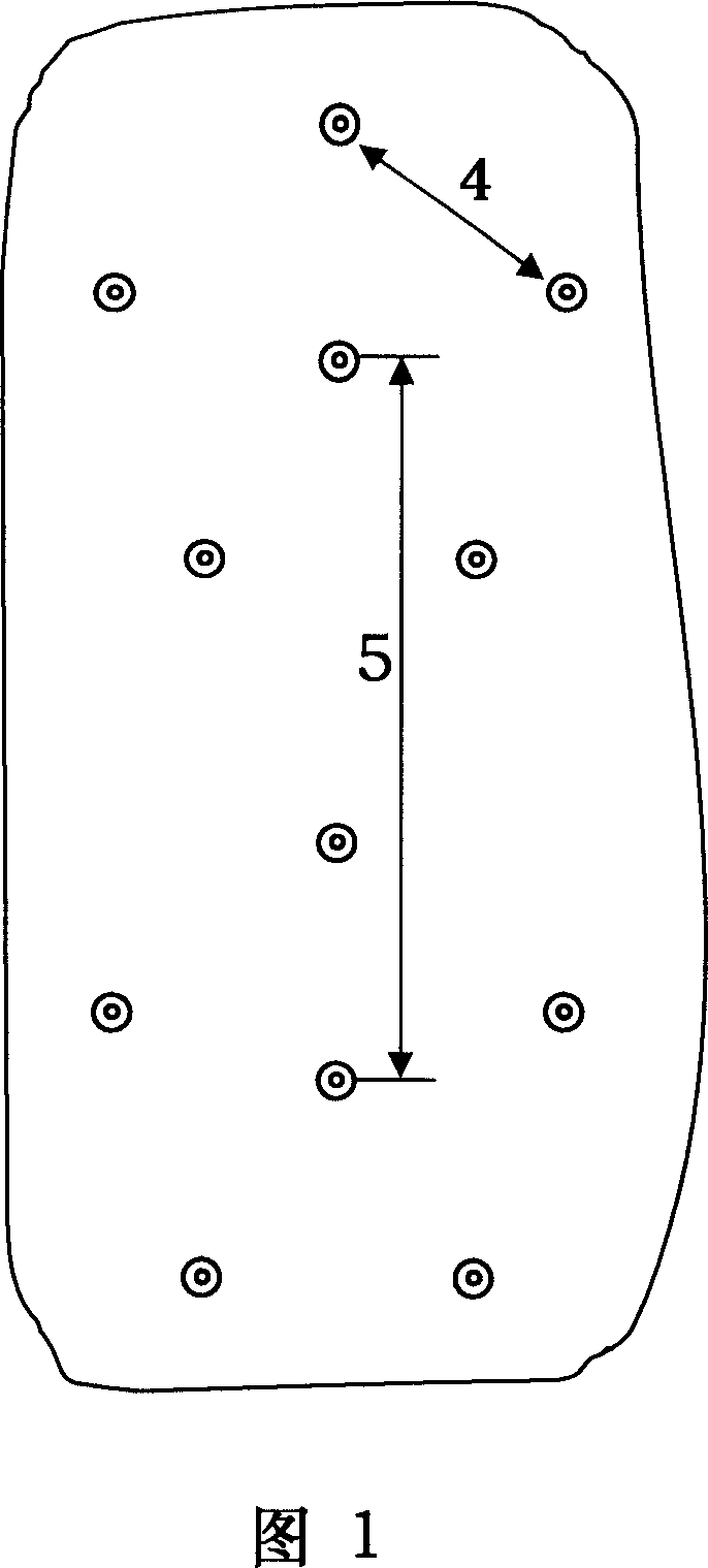 Method for pruning and training tree for six-tree and group planting type forestation