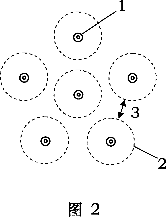 Method for pruning and training tree for six-tree and group planting type forestation