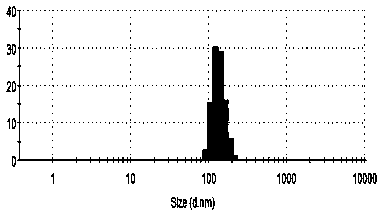 Decitabine nano carrier and application thereof in preparing tumor fluorescence imaging agent