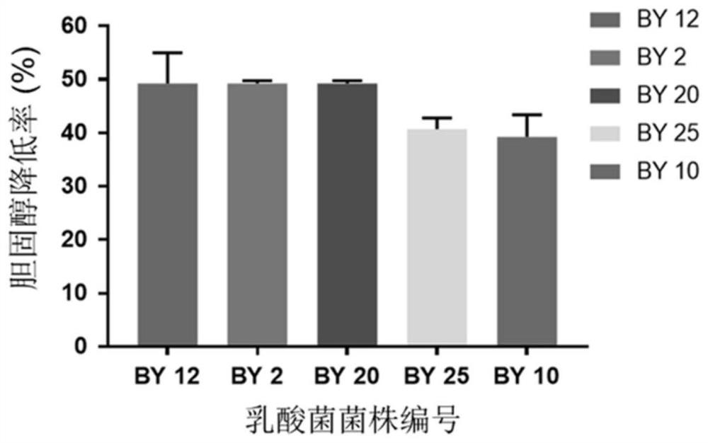 Lactobacillus paracasei for reducing cholesterol and application of lactobacillus paracasei