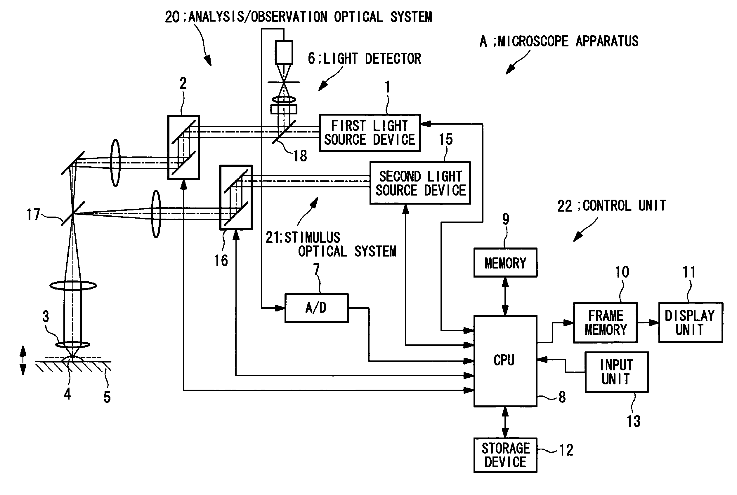 Microscope apparatus and cell observation method