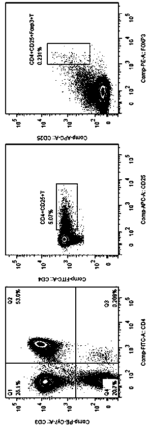 Application of mbl in the preparation of drugs for preventing or treating effector T-cell-induced diseases