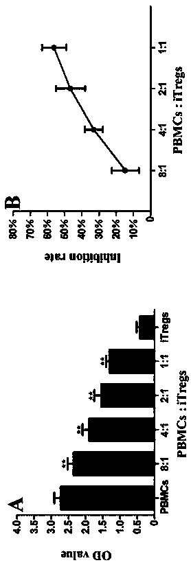 Application of mbl in the preparation of drugs for preventing or treating effector T-cell-induced diseases