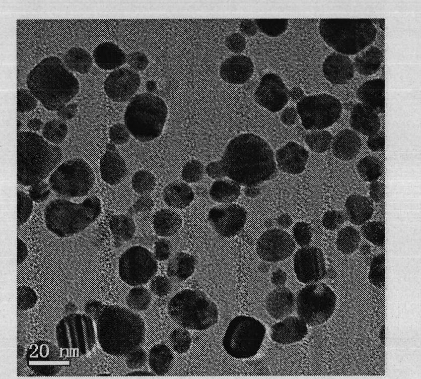 Preparation method of chitosan/polyvinyl alcohol sponge dressing containing nano-silver