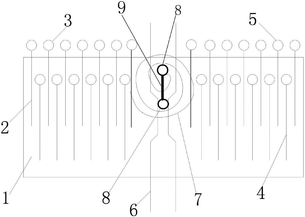 Device for showing cardiac souffle generation principle