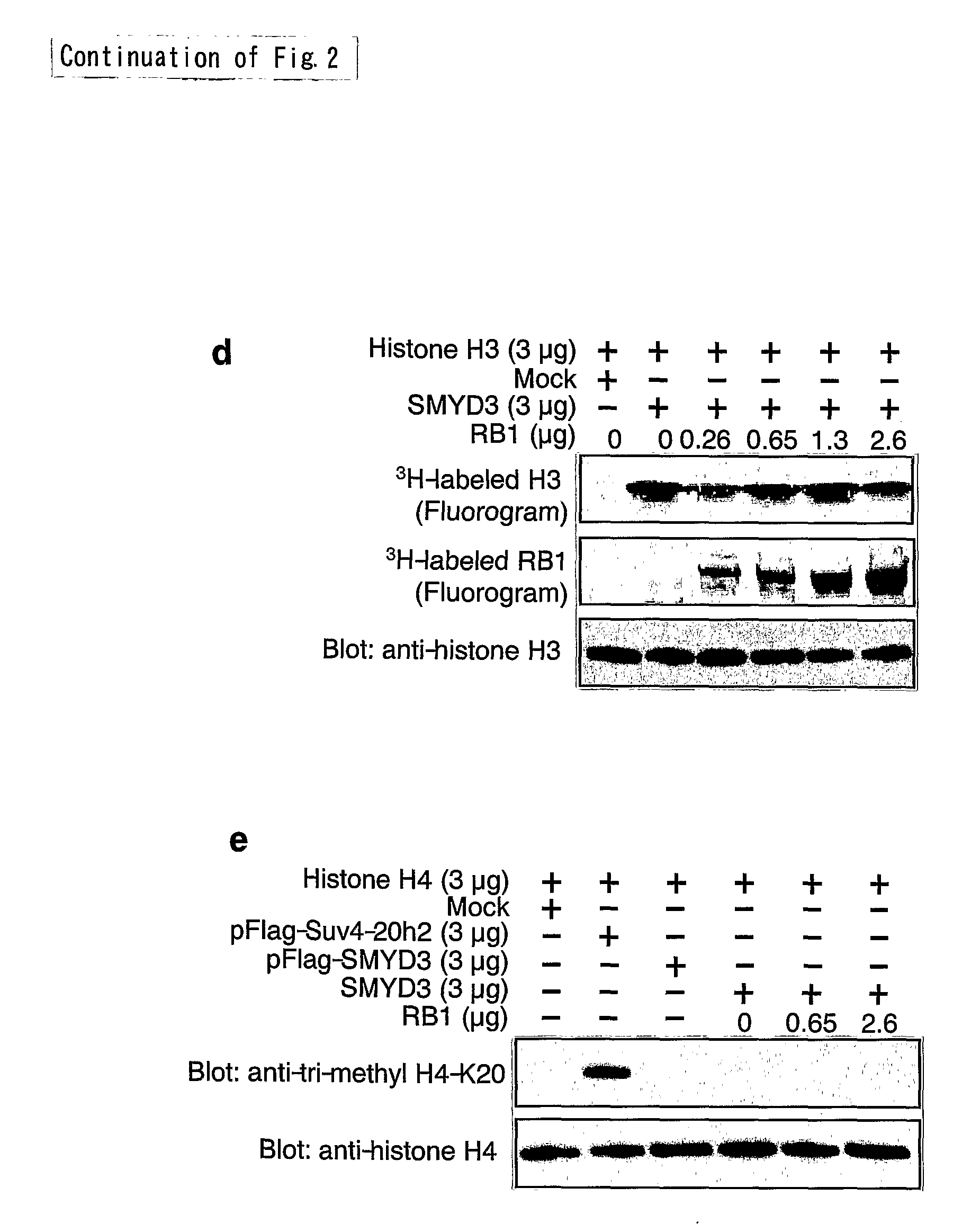 Methods of modulating smyd3 for treatment of cancer