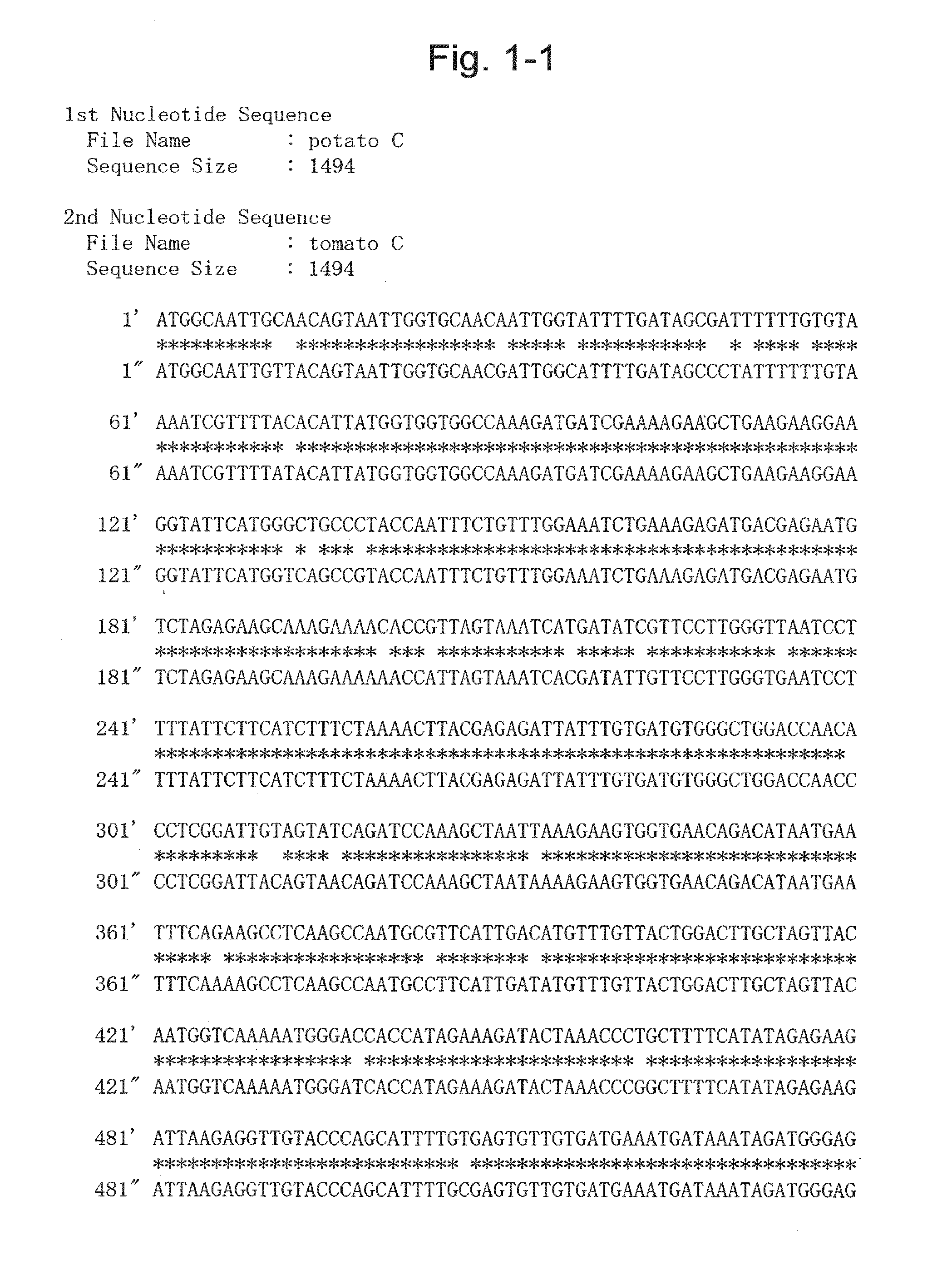 Protein having glycoalkaloid biosynthetic enzyme activity and gene encoding the same