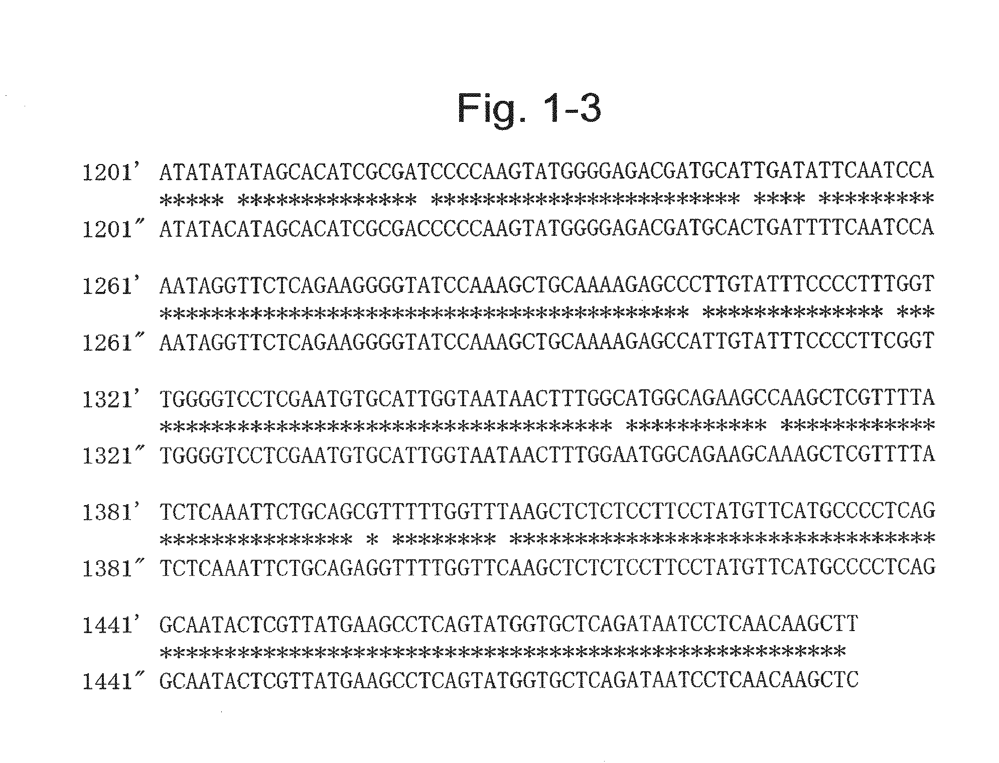 Protein having glycoalkaloid biosynthetic enzyme activity and gene encoding the same