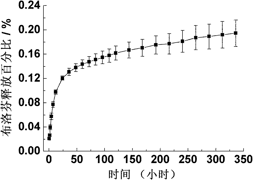 Preparation method of calcium phosphate nano medicament-carrying systems