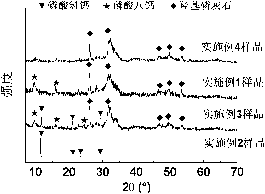 Preparation method of calcium phosphate nano medicament-carrying systems