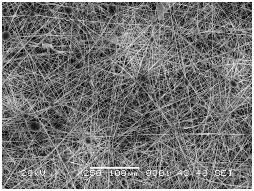 Heat-conducting polymer composite material and preparation method thereof