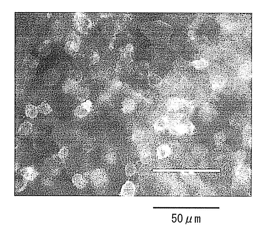 Mesenchymal stem cell and method for production thereof