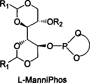 Chiral ligand metal complex catalyst system, and its preparation method and use