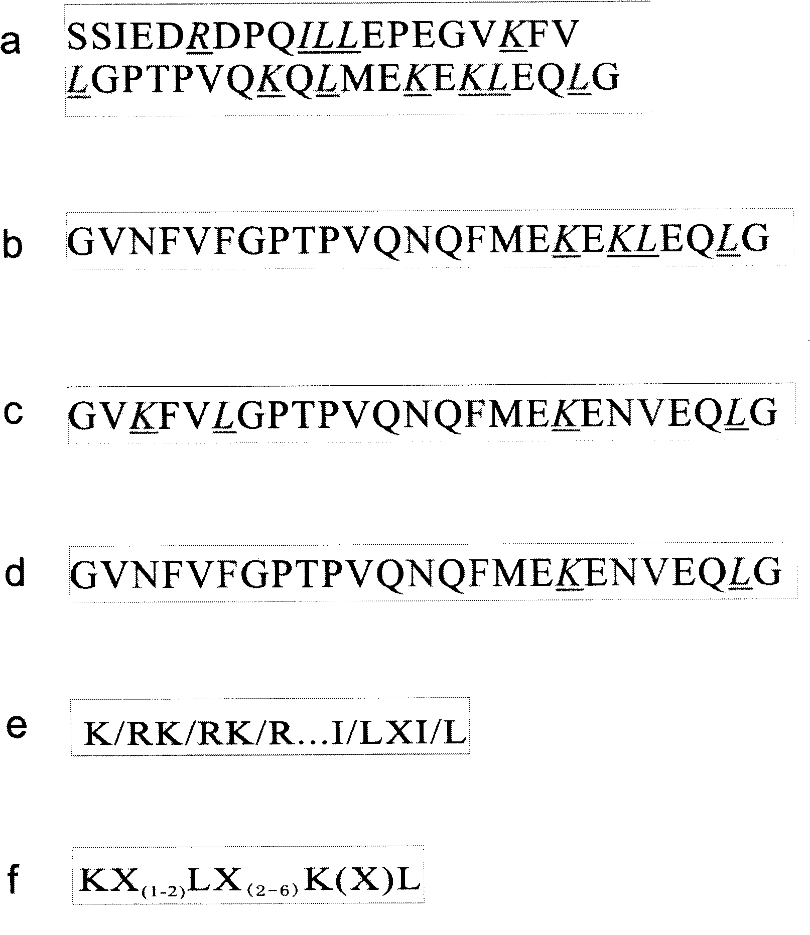 ERK2 combination polypeptide and preparation thereof