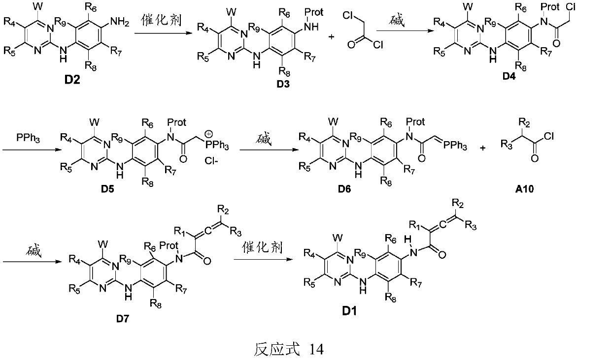 Compound containing conjugated allenamide structure, preparation method, pharmaceutical composition and use thereof