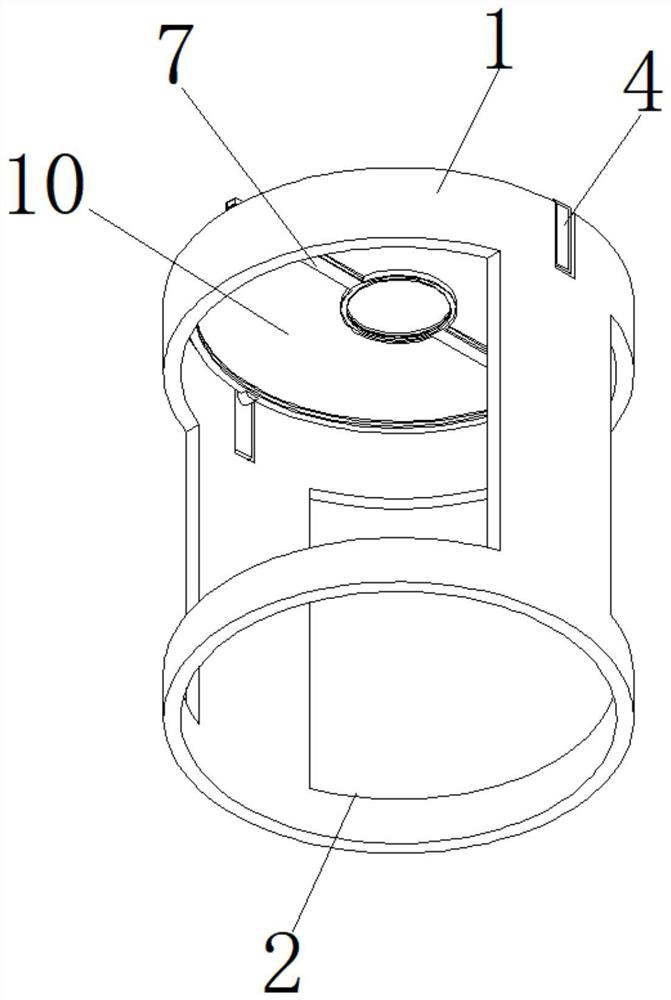 Citrus container seedling raising weed prevention device and seedling raising method