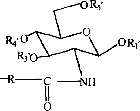 N-acyl amino glucose and its preparation process