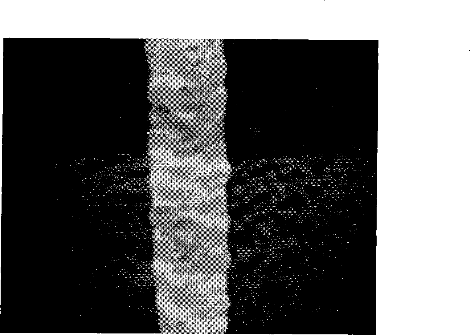 Developing device and developing method thereof