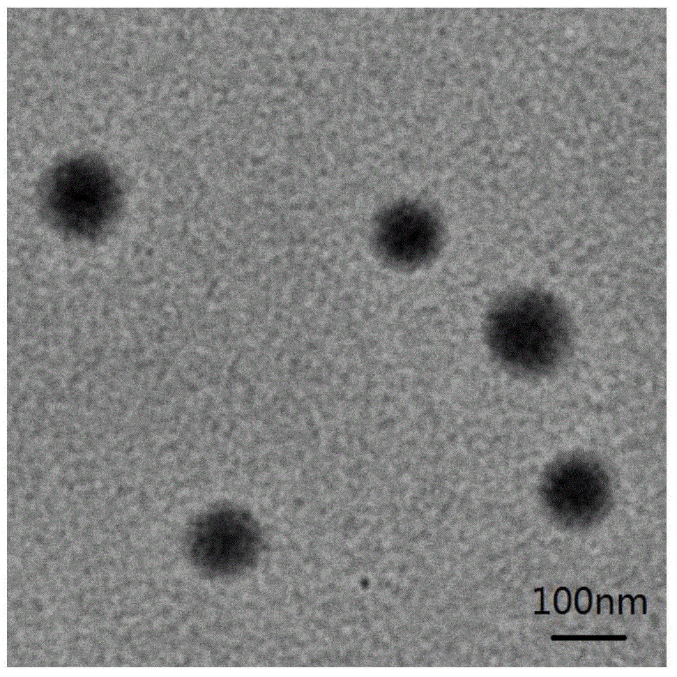 Polyacrylate redispersible latex powder and preparation method thereof