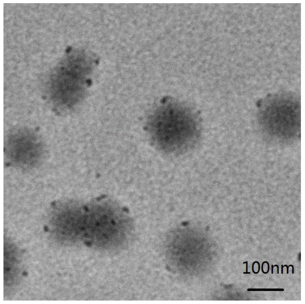 Polyacrylate redispersible latex powder and preparation method thereof