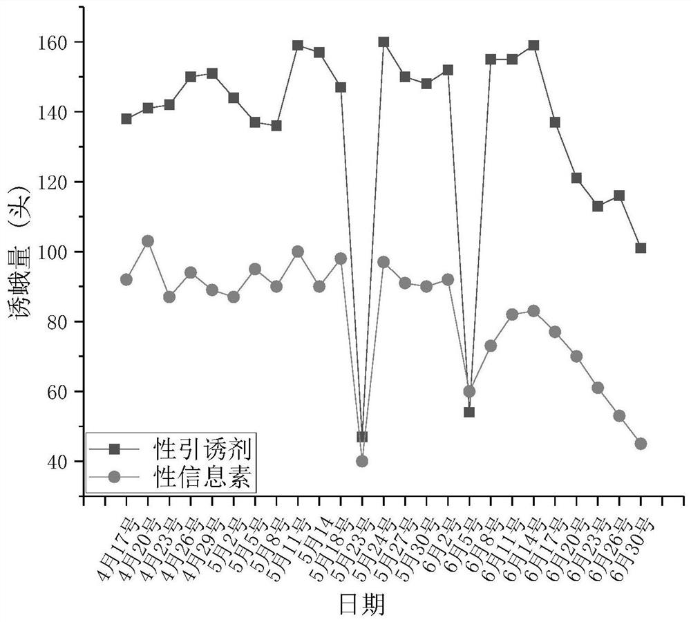 A system optimized potato tuber moth sex attractant and its application