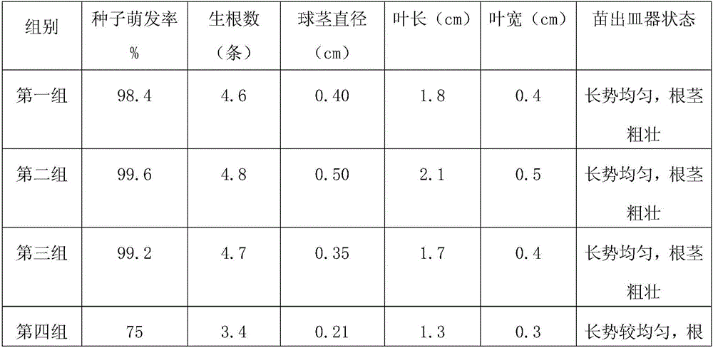 Tissue-culture rapid propagating method for wild bletilla striata