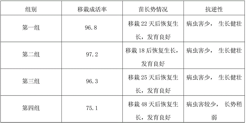 Tissue-culture rapid propagating method for wild bletilla striata