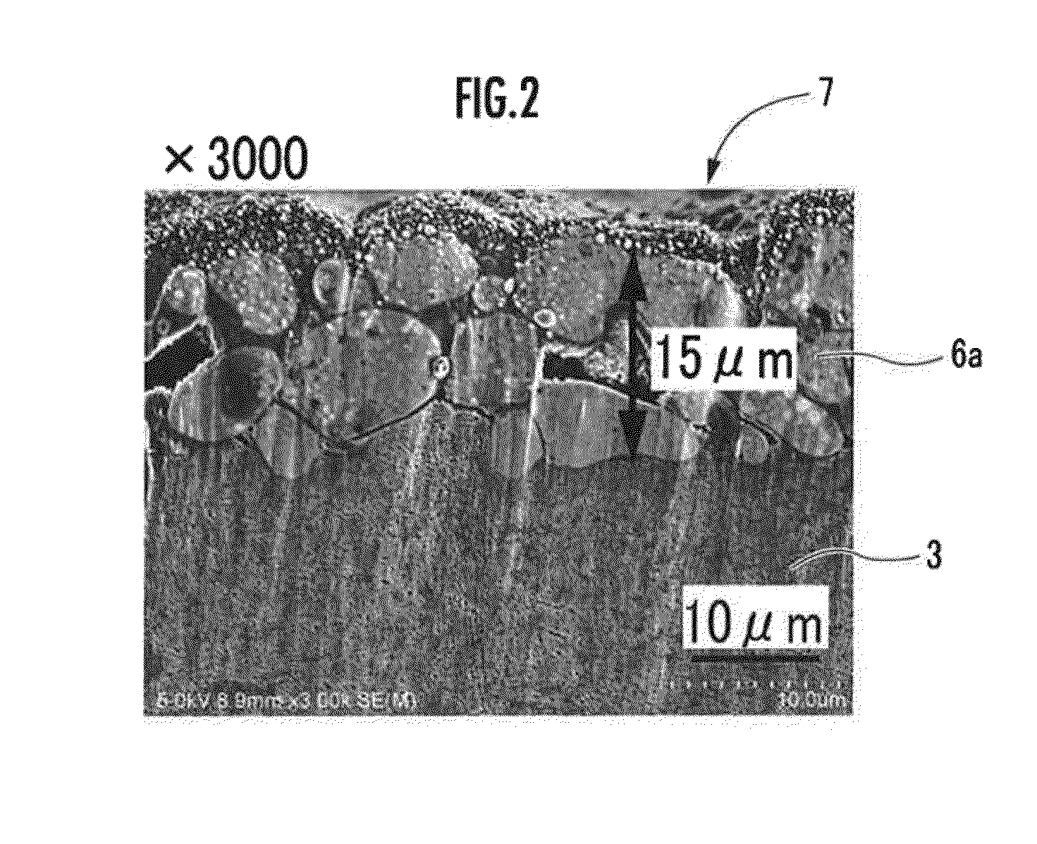 Electrolyte-positive electrode structure, and lithium ion secondary battery comprising the same