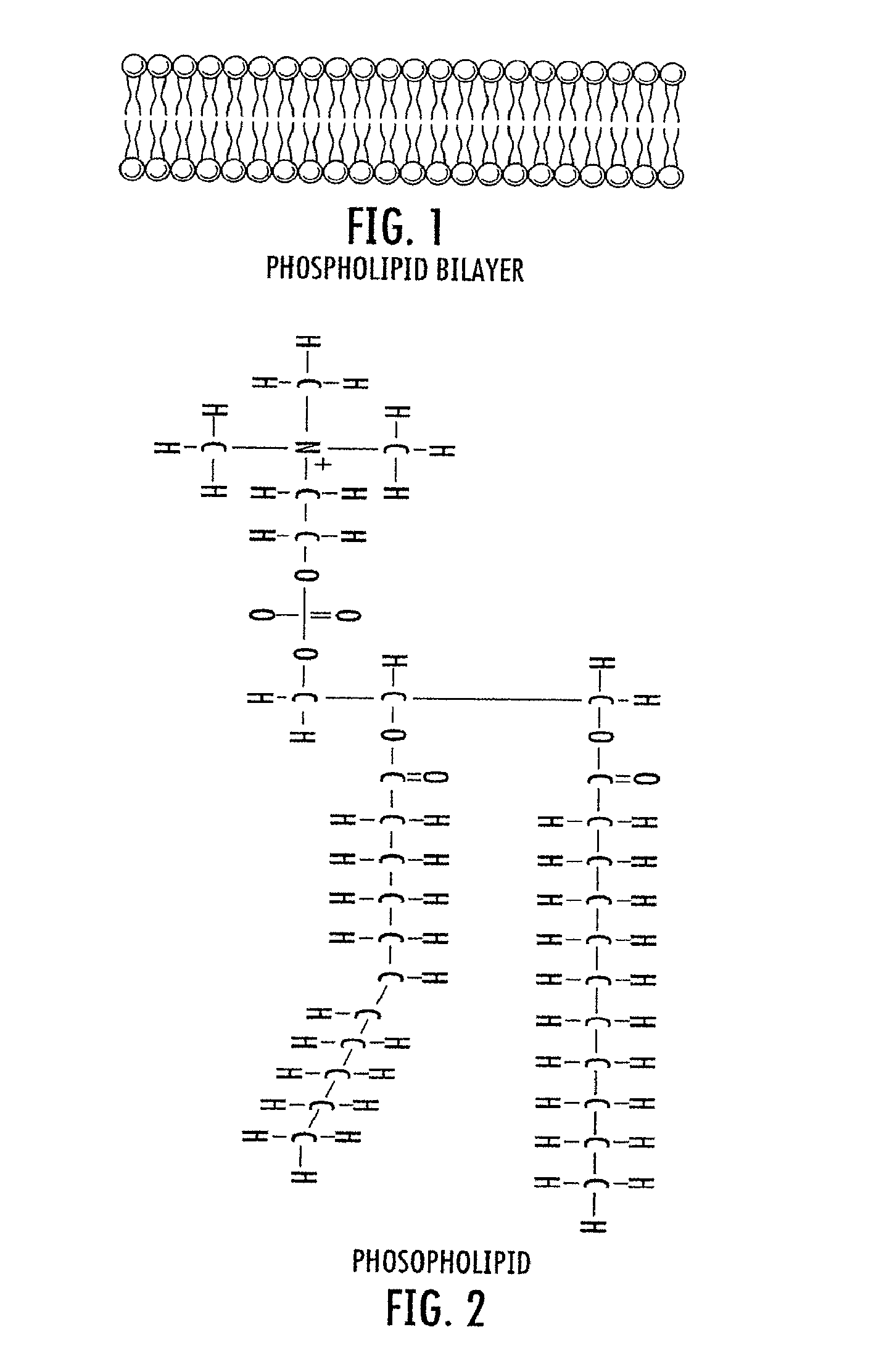 Therapeutic light delivery apparatus, method, and system