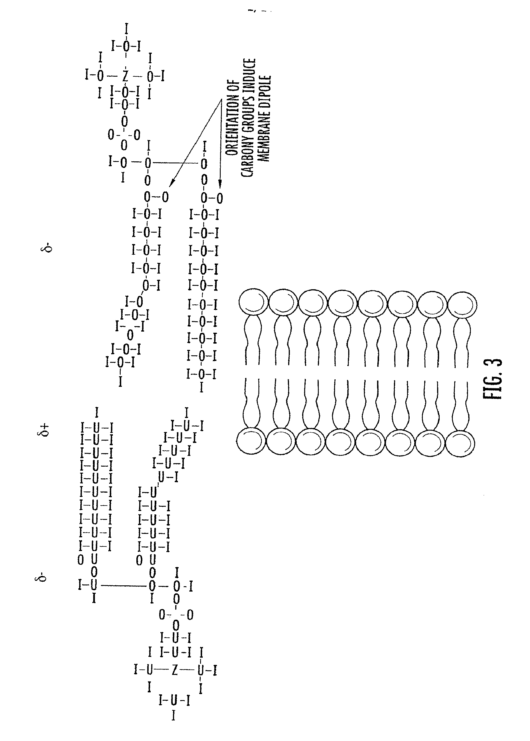 Therapeutic light delivery apparatus, method, and system