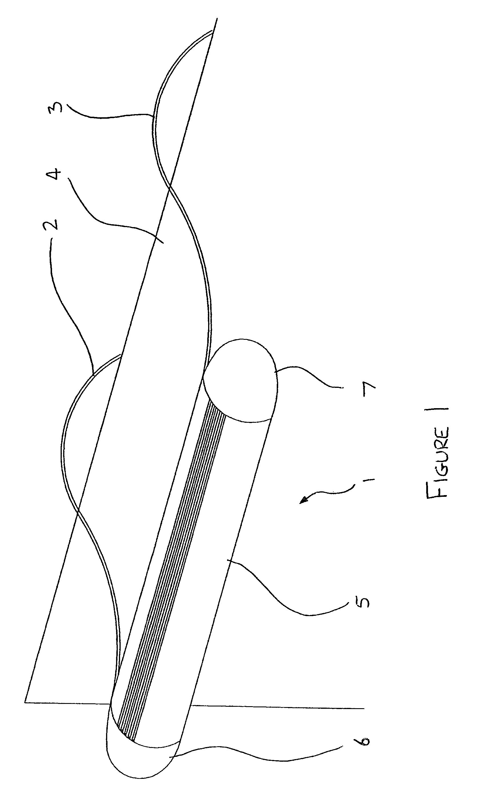 Light fixture having light emitting diode (LED) and resilient member