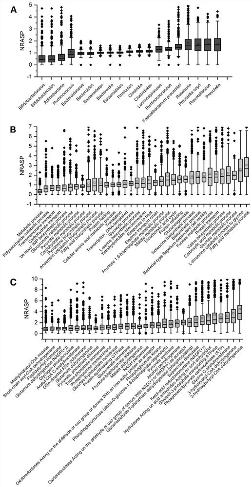 Macro-proteome mining method and application of macro-proteome mining method in obtaining hydrolysis characteristics of intestinal microbial proteins