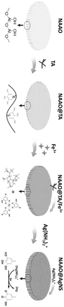 Surface-enhanced Raman scattering substrate and preparation method and application thereof