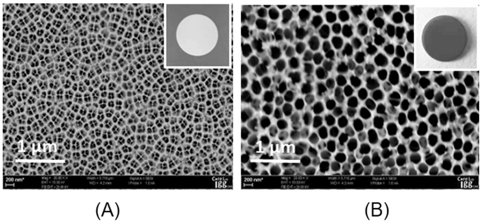 Surface-enhanced Raman scattering substrate and preparation method and application thereof