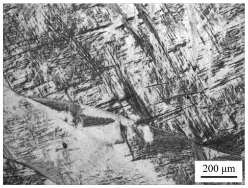 A kind of low elastic modulus corrosion-resistant titanium alloy and preparation method thereof