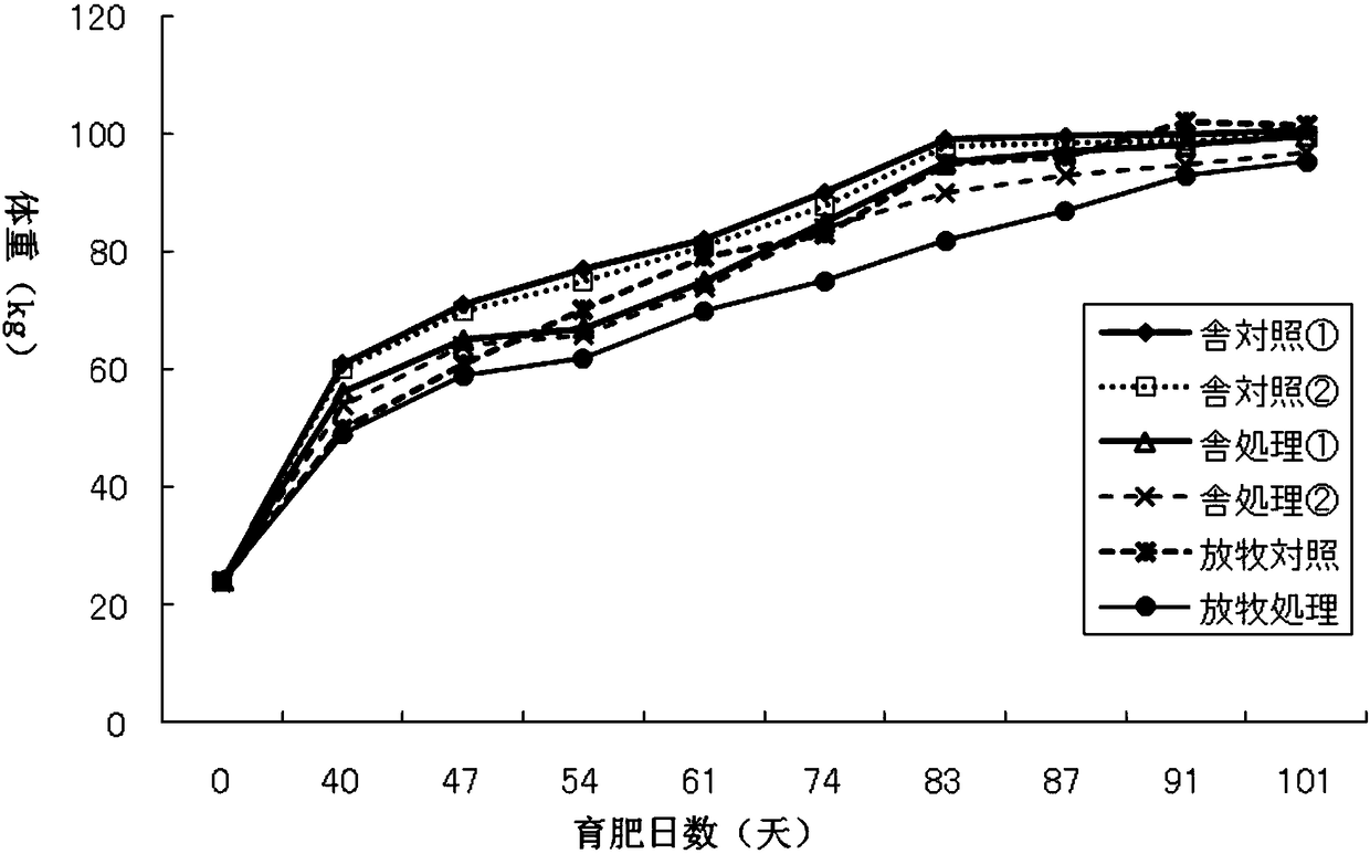 Novel fermented Lactobacillus and applications of novel fermented Lactobacillus in fields of feeds and sewage treatment