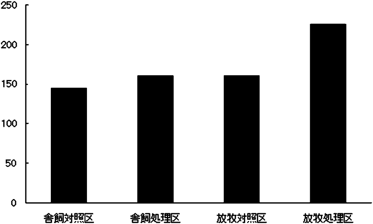 Novel fermented Lactobacillus and applications of novel fermented Lactobacillus in fields of feeds and sewage treatment