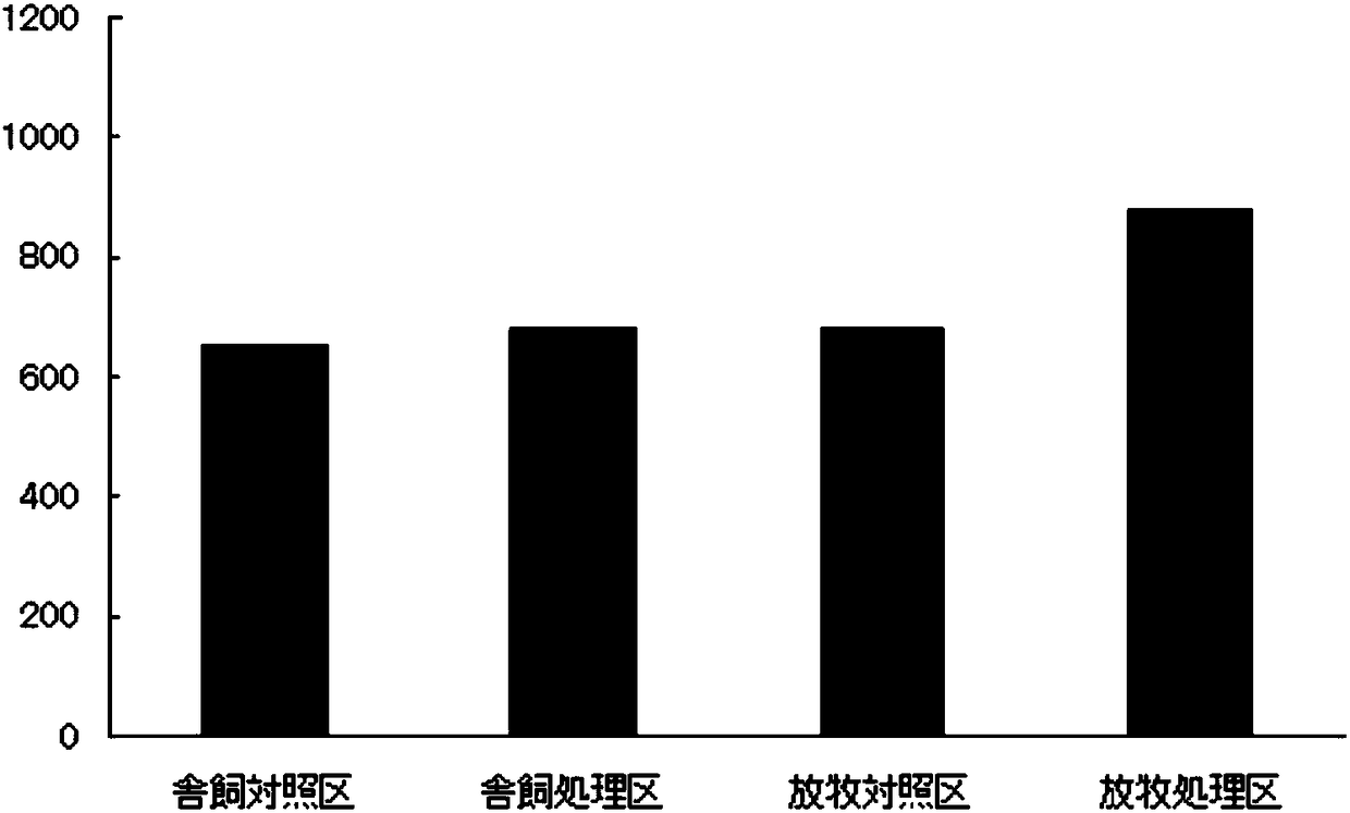 Novel fermented Lactobacillus and applications of novel fermented Lactobacillus in fields of feeds and sewage treatment