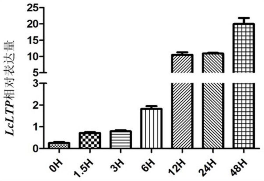 Litchi disease-resistant gene LcLTP as well as encoding protein and application thereof