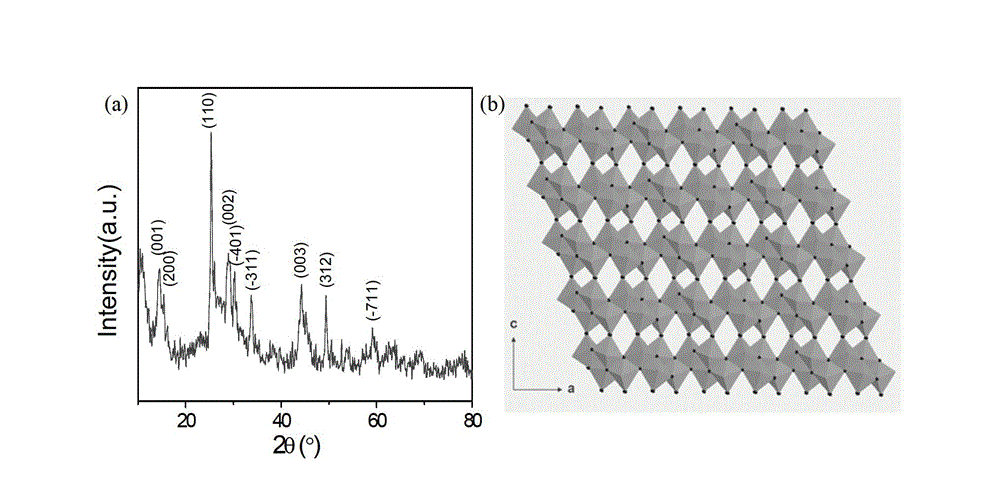 Vanadium dioxide-graphene compound and its use as lithium ion battery positive electrode material