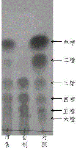 Chitosanase production strain and application thereof