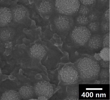 (FeCuZn) F3/rGO composite porous nanomaterial and lithium-fluorine battery